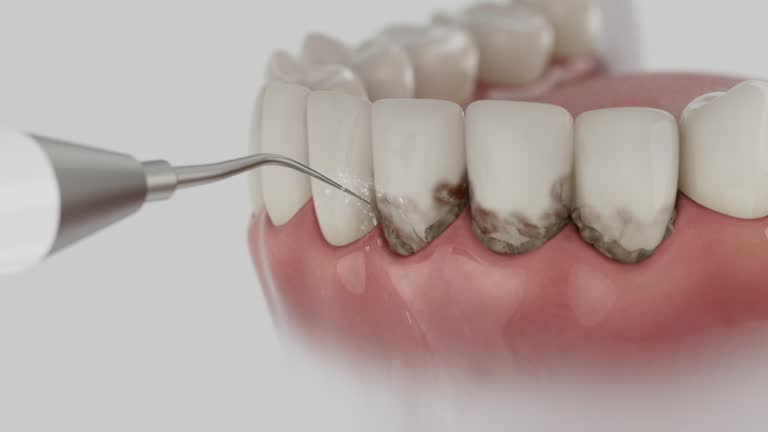 Reliable Dental contractor in Manhattan, IL by Dentist Open Now